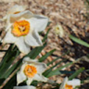 Meet your Posher, Eleanie